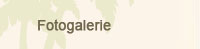 Fotogalerie